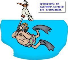 с чайкой