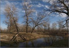 река Боровая, недалеко от  г. Севердонецка, Украина