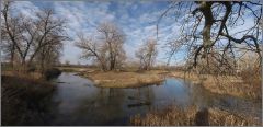 река Боровая, недалеко от  г. Севердонецка, Украина