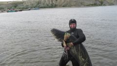 сом 30