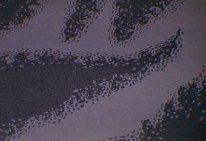post-1015-0-87501600-1295894237_thumb.jpg