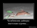 post-12357-0-50463200-1295971303_thumb.jpg
