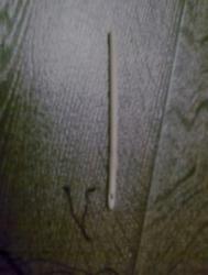 post-8590-0-31428200-1295854602_thumb.jpg