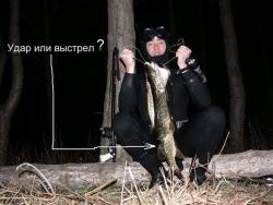 post-8716-1266911884_thumb.jpg