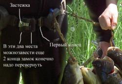 post-9577-1266524101_thumb.jpg