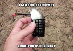 post-16162-0-83208700-1423545270_thumb.jpg