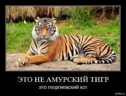 post-19355-0-09071000-1423814890_thumb.jpg