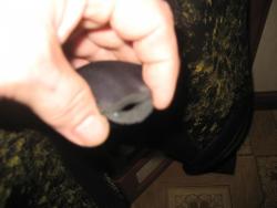 post-21964-0-07204500-1456701657_thumb.jpg
