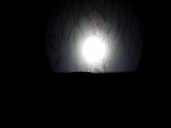 post-20798-0-82984100-1486616512_thumb.jpg