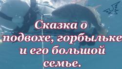 post-7858-0-05450400-1487834528_thumb.jpg