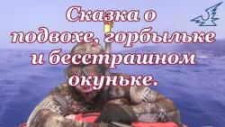 post-7858-0-18447600-1487266642_thumb.jpg
