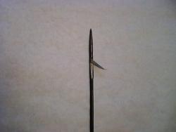 post-2315-1237132266_thumb.jpg