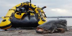 post-20024-0-26482200-1551812963_thumb.jpg