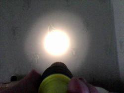 post-18094-0-89265600-1491194943_thumb.jpg