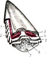 post-1233-0-00591300-1305368270_thumb.jpg