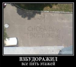 post-12270-0-27146200-1401465763_thumb.jpeg