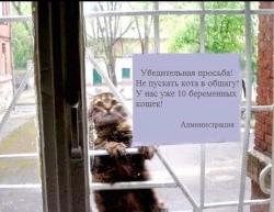 post-12270-0-19038600-1462184132_thumb.jpg