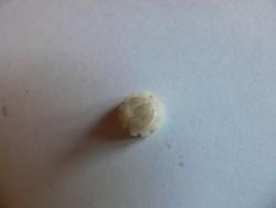 post-1233-1213379056_thumb.jpg