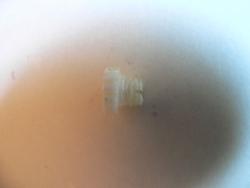 post-1233-1213379086_thumb.jpg