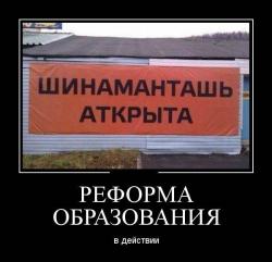 post-9936-0-50457200-1466963018_thumb.jpg
