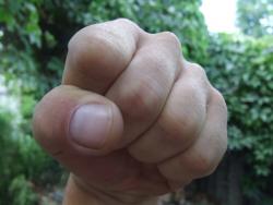 post-9936-36243_thumb.jpg