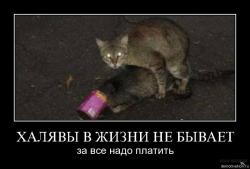 post-12270-0-68610200-1469631640_thumb.jpg
