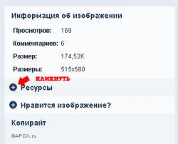 foto_01.jpg