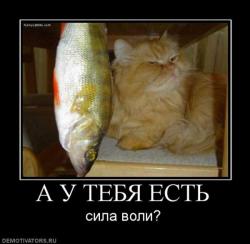 post-7858-0-94580400-1313918066_thumb.jpg