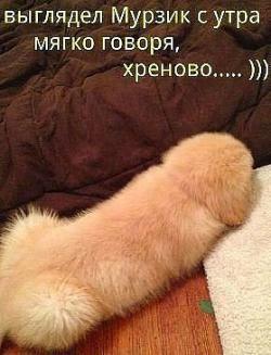 post-12270-0-43783600-1409318134_thumb.jpeg