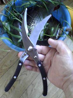 post-18094-0-08288200-1407156772_thumb.jpg