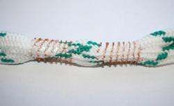 snake_01.jpg