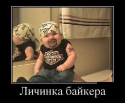 post-18805-0-79894800-1441492311_thumb.jpg