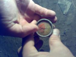 post-6941-1254860202_thumb.jpg