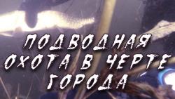 post-7858-0-97400000-1507539176_thumb.jpg