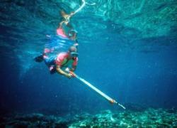 spearfishing2.jpg