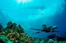 bachelor_party_2009_03_g.jpg