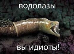 post-12270-0-54862800-1451324779_thumb.jpeg