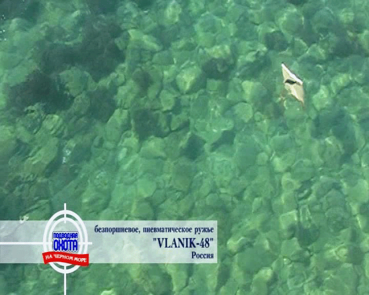 272169029_Vlanik(2).gif.02eb5bd2031a9a3c08ec75056715ddba.gif