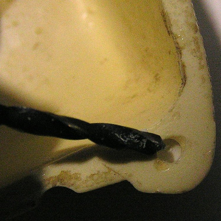 PC030001_1.JPG